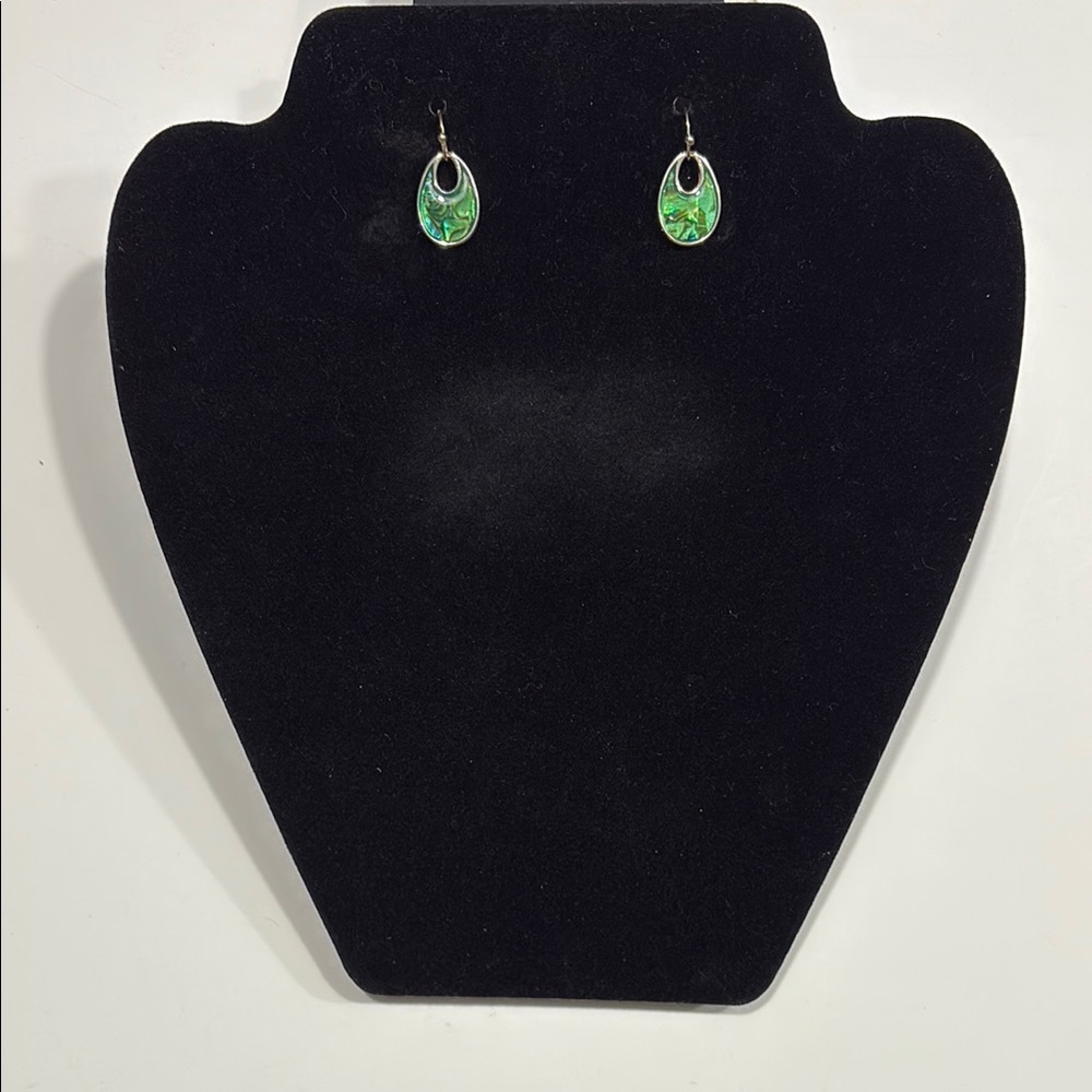 Abalone Teardrop Drop Earrings - Women Jewelry